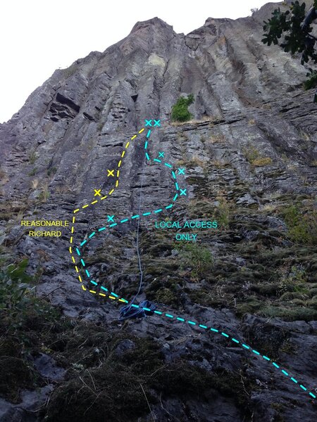 Looking up from the trail