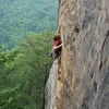 Andy nearing the hard stuff.