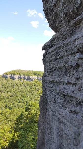 Cool texture of the upper face of Blue Moon in August at Mahican Section, seen from Tossin ze Chossin