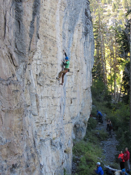 Devin on Echo Location.