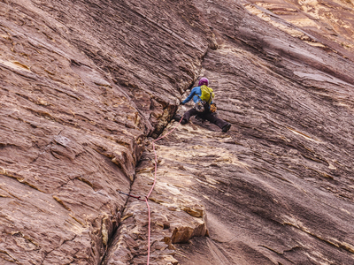 Gigi leads p2 of Dream of Wild Turkeys. Oct 2017.