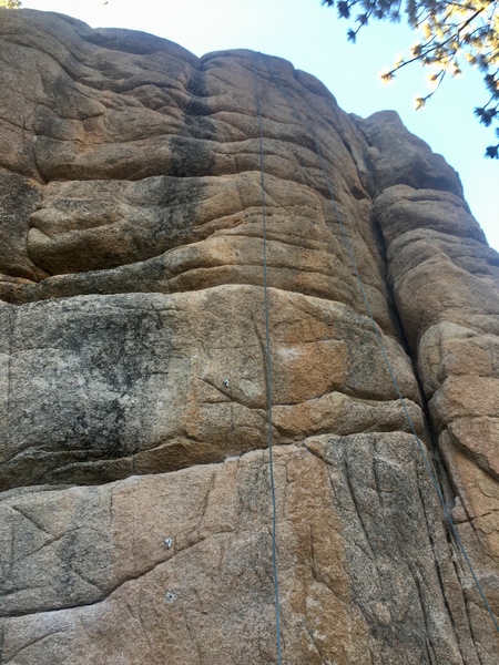 Who needs a rock gym when you have the Hungover Wall.