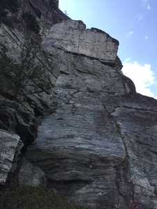 I think I see a line...