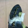 Make sure your shoes are in good condition before starting the route...