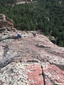 From the summit. At least I think it was from the summit....