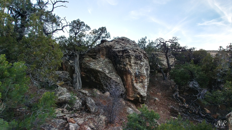 The Candy Store Boulder.