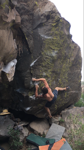 Cosmic Cowboy V8, The Scar