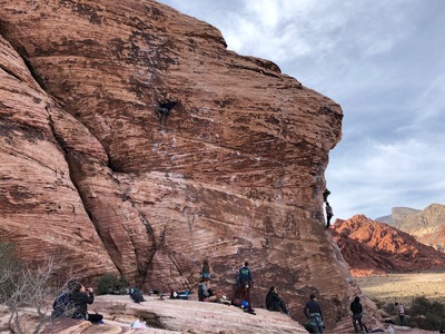 Shredding for the gnar