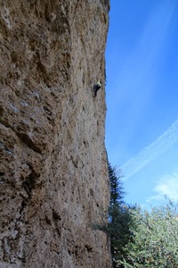 STFU! Theres a wild "nipple" hold in there somewhere...