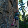 Mike Arechiga on, Edge Of Dreams, 5.9