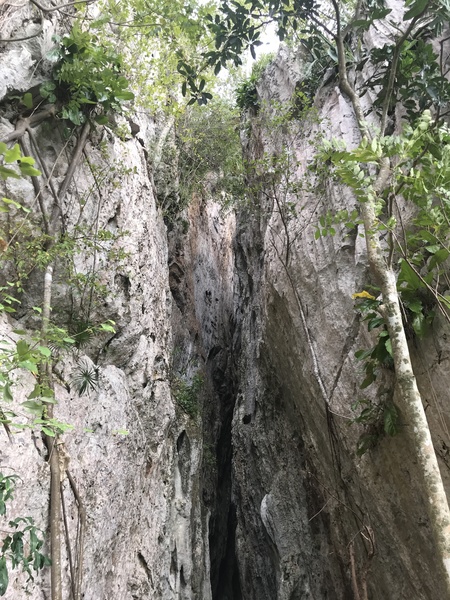 Entrance to Cueva Larga