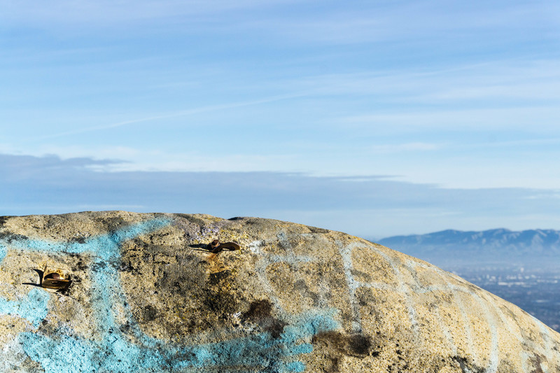 Bolts of Summit Rock
<br>

<br>
Photo by Dalton Johnson
<br>
www.daltonjohnsonmedia.com
<br>
@seek_shangri_la