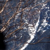 Linclon's Throat "necking down" (telephoto from Lonesome Lake Trail). Looks like the left-by-pass is pretty obvious. [Taken 2/21/18 after much melting & re-freezing; the snowpack was low. ]