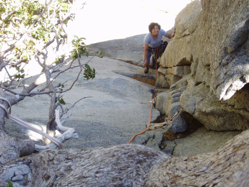 Looking Down the "approach gully" from the tree