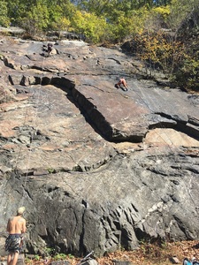 To the right of who shot Bambi