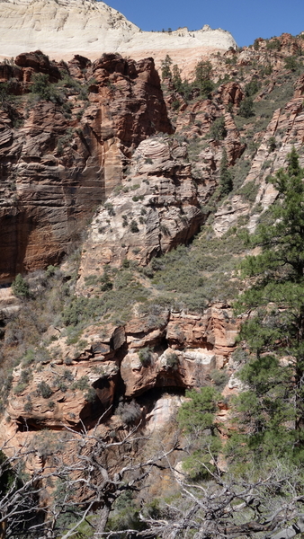 brushy gully system from Northgate Peaks into the Subway