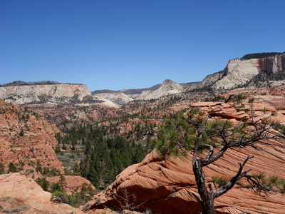 the final approach drainage as viewed from the NE Ridge