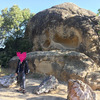 landmark for BOY SCOUT ROCKS. There's a steep trail on the left side of this picture that leads to the bottom of Lower Tier. Better to take the wooden stairs a short walk further up the road