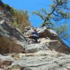 Although I was less than impressed with this route, the section of climbing pictured here is really nice. I really enjoyed the open book to the tree.