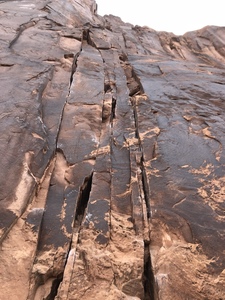 Looking up from the ground.