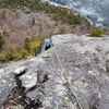 John on top of P3 . Since the old piton was nowhere to be found we anchored  on a pine tree for 45 meters pitch