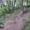 You can take either path to wander through the boulders. The upper path leads to the summit (with access to the boulders), the lower path leads to the Energiezentrum-Block and some other boulders.