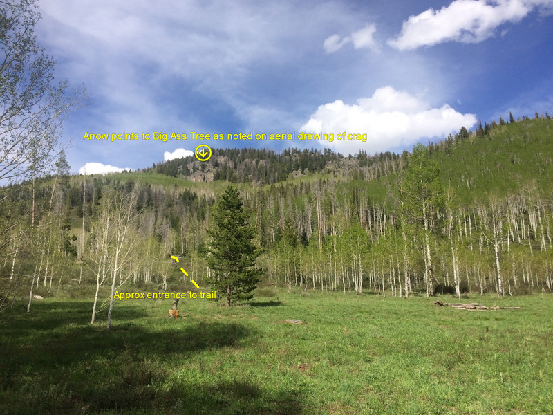 The view of the crag from the road. When you get to this meadow, you can enter from behind the pine tree (two white strips of survey tape on aspens vaguely mark the entrance), or you can walk another +/- 100 feet down road the road.
