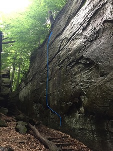 And now for something completely different-(guess?)