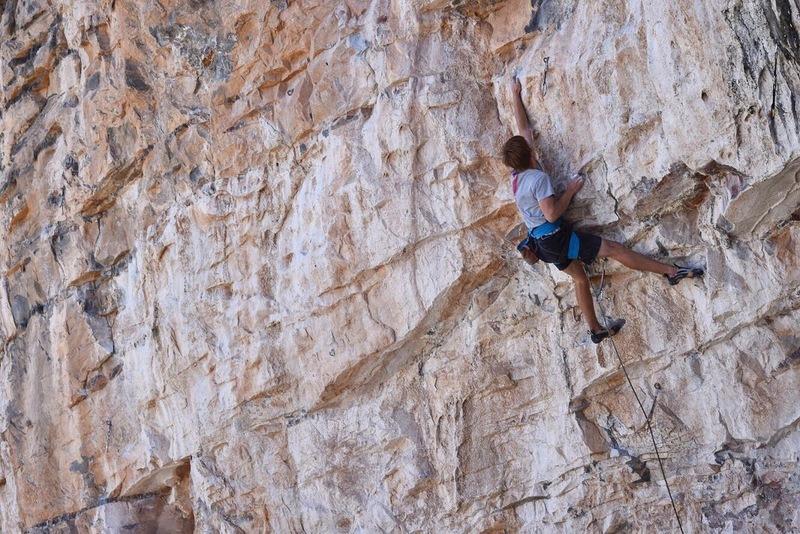 Crux. Photo by Adrian Montaño