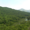 the view