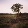 Holcomb Valley at sunset.