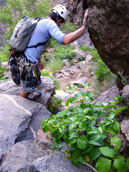 Watch out for poison ivy in the SOB Gully!