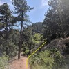 This is a shot of the Mesa Trail facing South near where the faint trail breaks away. It's about 100 yards South on the trail of the small canyon/wash and maybe 250 yards south of the Kohler Mesa Junction. The yellow line is an estimate. Hope it helps!