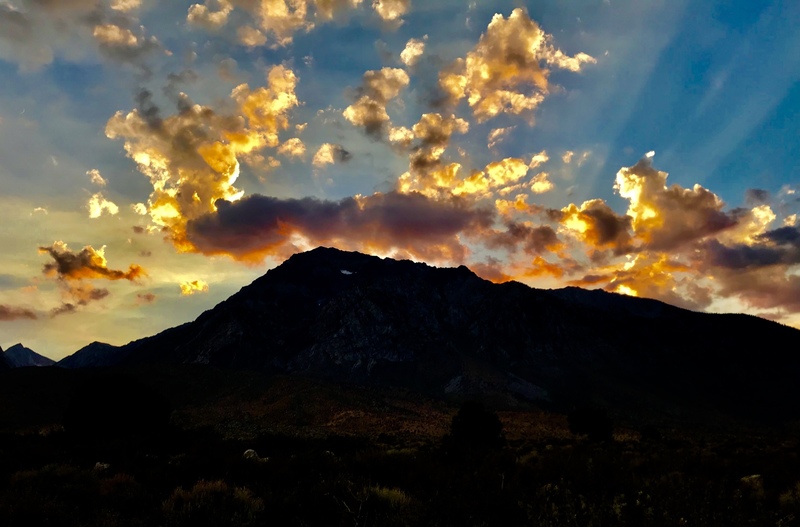 That profile though!