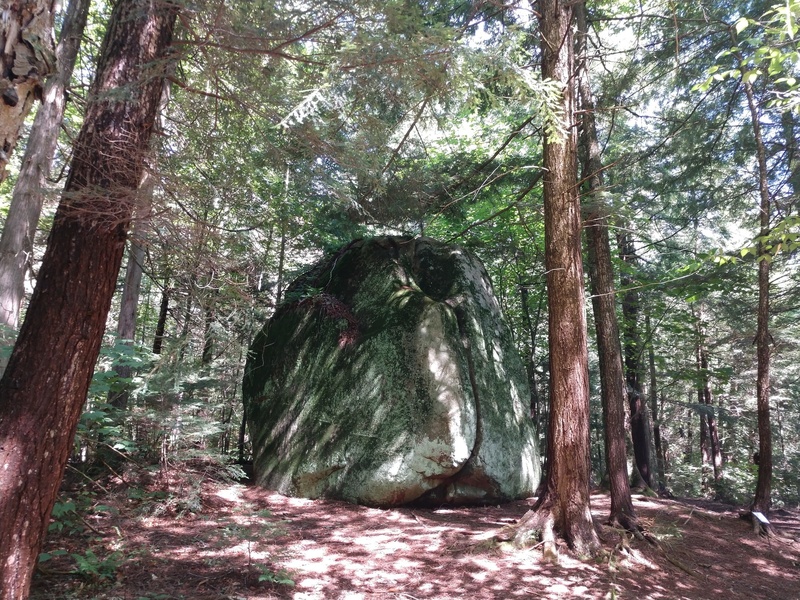 Shady view of the 20' boulder