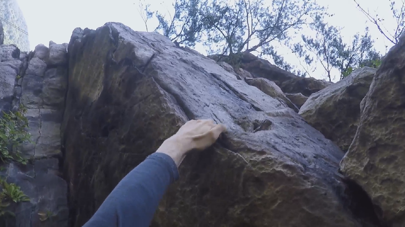 Crux roof, small pine tree above to right after roof