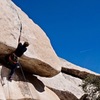 Wes takes on the 'Hobbit Roof'...