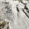 Crazy Limestone