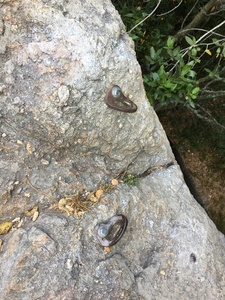 Bolts for Farewell to Arms. Bolts look good though hangers are kinda rusted