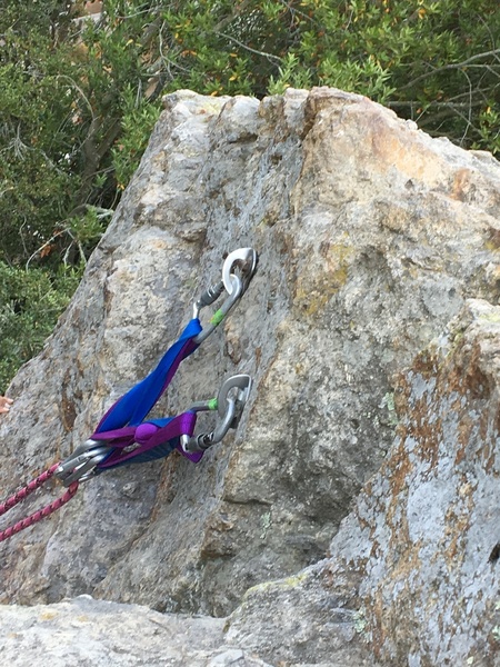 Bolts for the middle of the NE face (Cragmont Crack, The Face). Photo take from above, facing the houses below. Bolts look a little rusted but not oto bad. Climber's left bolt is a spinner