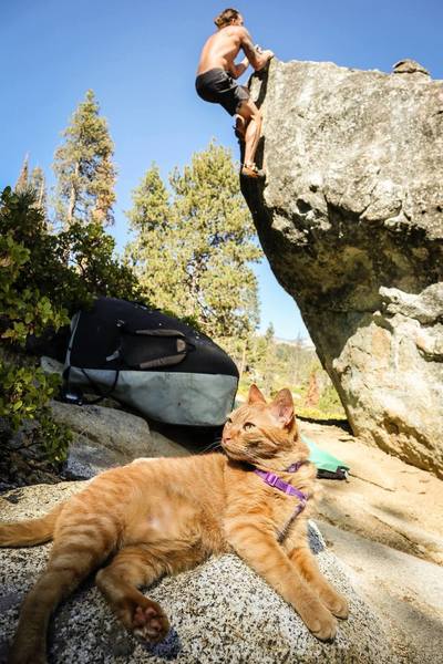 Cat's eye view of the top out on Bilar's main problem.