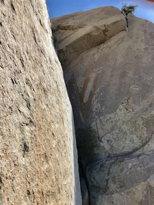 Karl’s Korner, Thin Ice, and Camptown Races