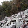 You'll see these vulture poop covered boulders from higher up, near the trail. As you look toward them, routes like Magic Mushroom will be down to your left.