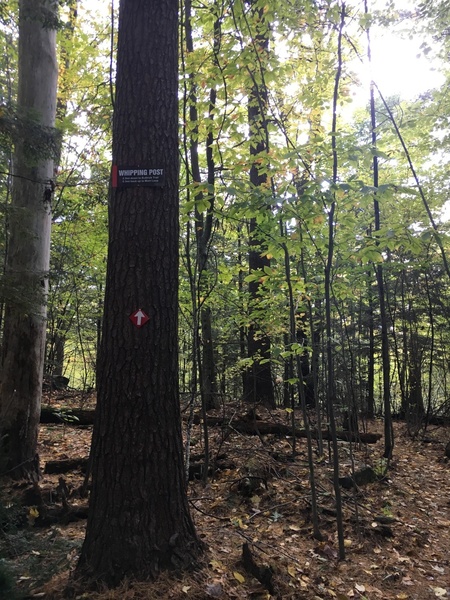 A new sign marks the entrance to the “whipping post” trail which will take you right to this boulder