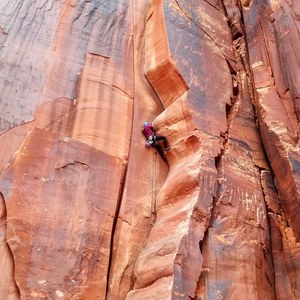 Sarah leading Wavy Gravy