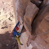 switching from dihedral to flake at the end of pitch 1