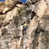 Izzy-B goes up the line of bolts just to the right of this small tree protruding from the cliff.