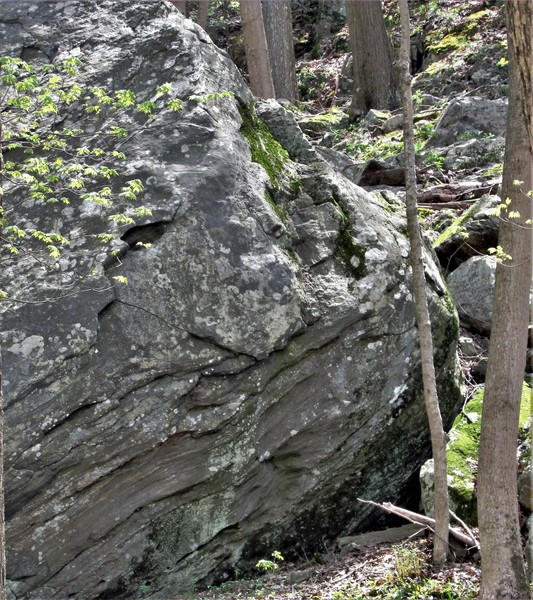 Solo's Head Stone