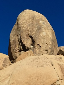 Nincompope (11d, 5 bolts), Pope on a Rope (12d, 8 bolts) on the left side. Desert Storm (10a, 4 bolts) on the right.