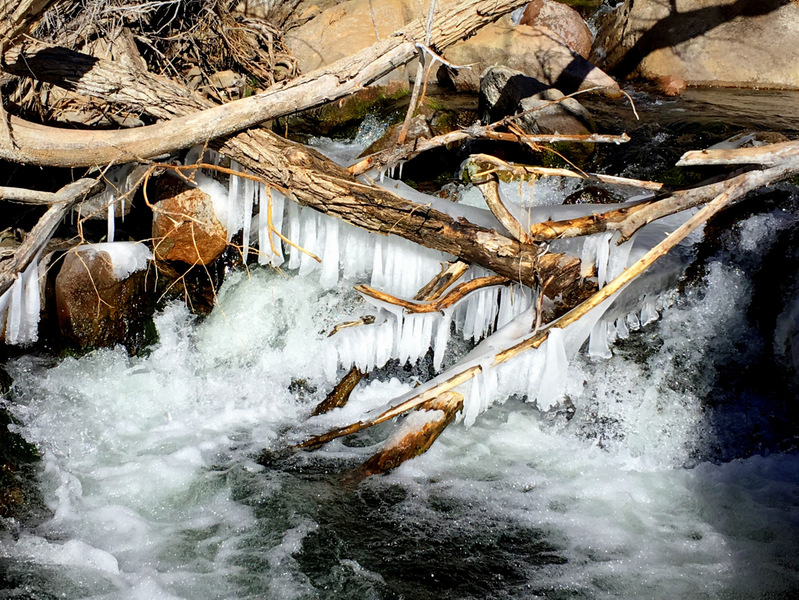 Chandelier icicles in the Owens River.